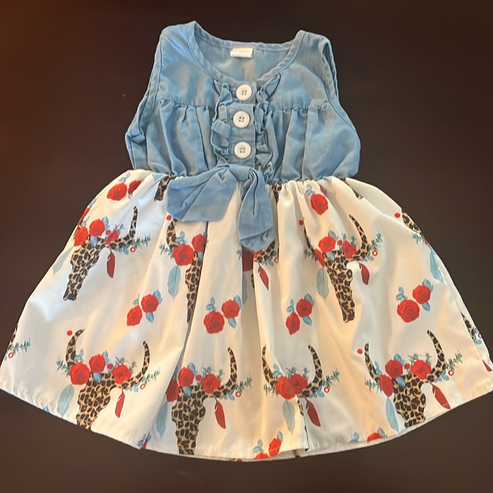 Girls Dress 2-3T